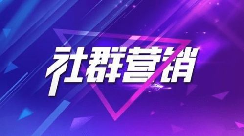 揭秘每域微信社群營銷 從文化傳播到品牌增長的成功路徑