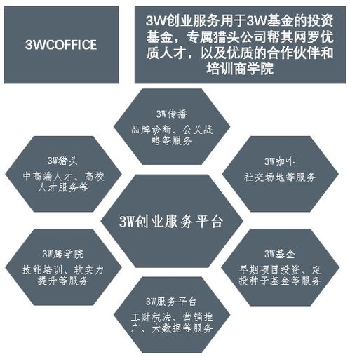 中國頂級創(chuàng)業(yè)孵化器與加速器 發(fā)展模式與管理服務(wù)創(chuàng)新研究